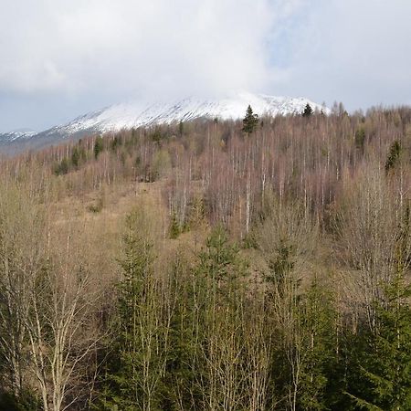 Apartman Lesia Vysoké Tatry エクステリア 写真